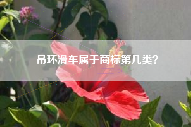 吊环滑车属于商标第几类？
