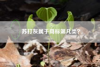 苏打灰属于商标第几类？