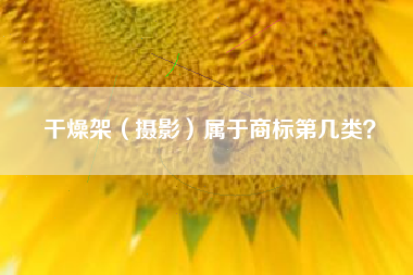 干燥架（摄影）属于商标第几类？