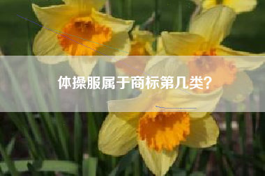 体操服属于商标第几类？