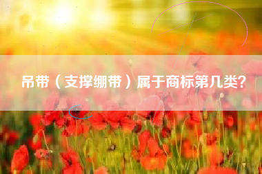 吊带（支撑绷带）属于商标第几类？