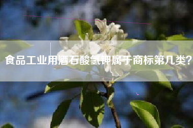 食品工业用酒石酸氢钾属于商标第几类？
