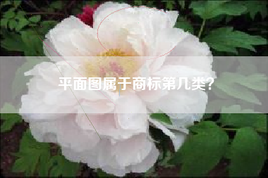 平面图属于商标第几类？