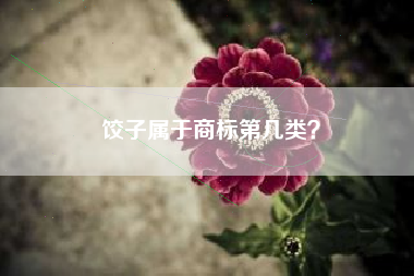饺子属于商标第几类？