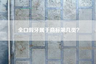 全口假牙属于商标第几类？