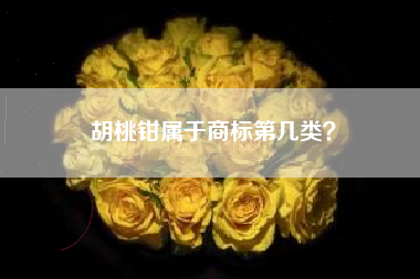 胡桃钳属于商标第几类？