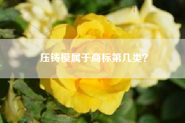 压铸模属于商标第几类？