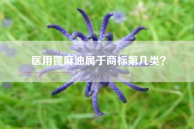 医用蓖麻油属于商标第几类？