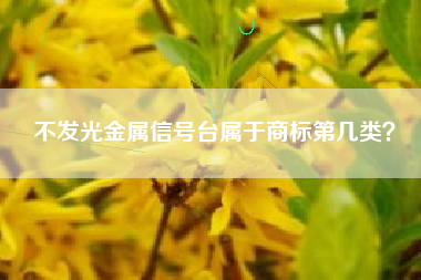 不发光金属信号台属于商标第几类？