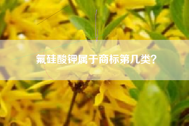 氟硅酸钾属于商标第几类？