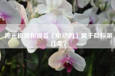 抛光机器和设备（电动的）属于商标第几类？