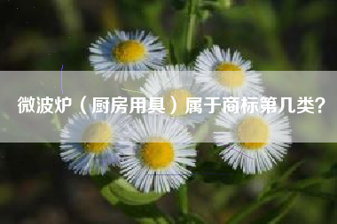 微波炉（厨房用具）属于商标第几类？