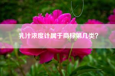 乳汁浓度计属于商标第几类？