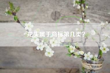 龙头属于商标第几类？