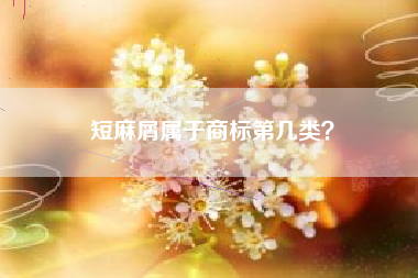 短麻屑属于商标第几类？