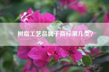 树脂工艺品属于商标第几类？