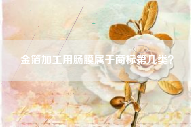 金箔加工用肠膜属于商标第几类？