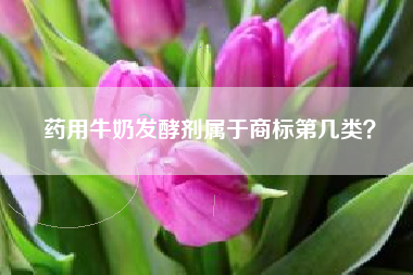药用牛奶发酵剂属于商标第几类？