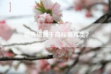 铜洗塔属于商标第几类？