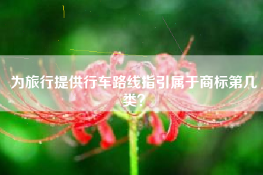 为旅行提供行车路线指引属于商标第几类？