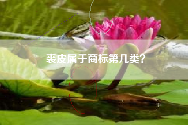 裘皮属于商标第几类？