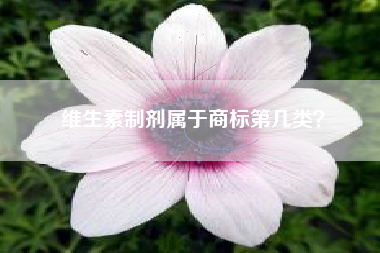 维生素制剂属于商标第几类? 维生素制剂属于商标第几类?