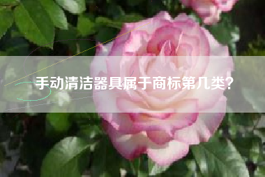 手动清洁器具属于商标第几类? 手动清洁器具属于商标第几类?