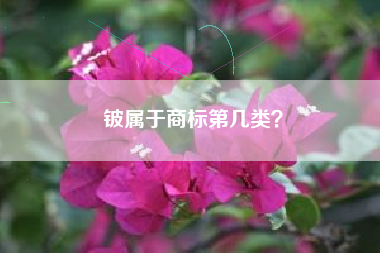 铍属于商标第几类？