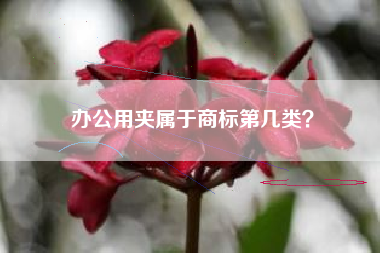 办公用夹属于商标第几类？