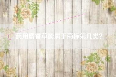 药用麝香草酚属于商标第几类？
