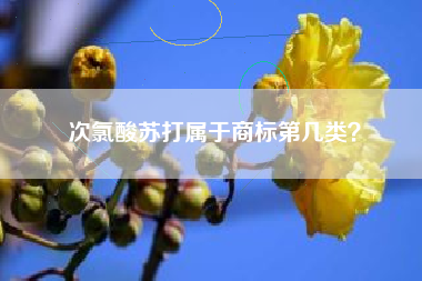 次氯酸苏打属于商标第几类？