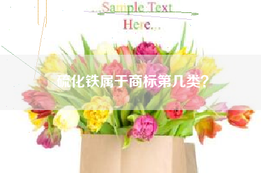硫化铁属于商标第几类？