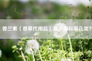 香兰素（香草代用品）属于商标第几类？