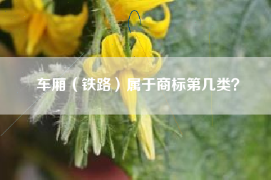 车厢（铁路）属于商标第几类？