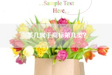 茶几属于商标第几类? 茶几属于商标第几类?