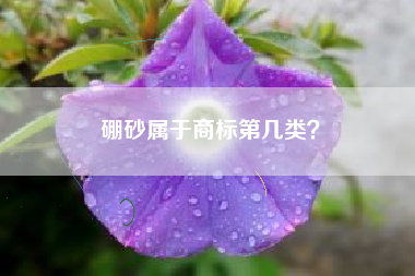 硼砂属于商标第几类？