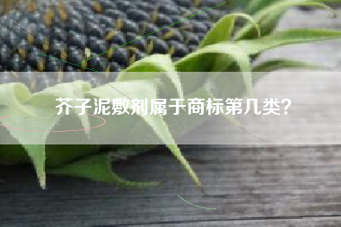 芥子泥敷剂属于商标第几类？