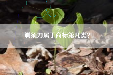剃须刀属于商标第几类？