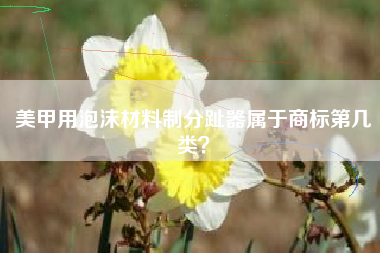 美甲用泡沫材料制分趾器属于商标第几类？