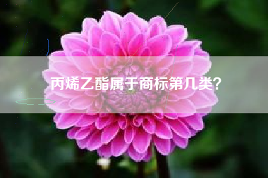 丙烯乙酯属于商标第几类？