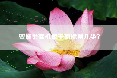 蜜蜂巢础机属于商标第几类？