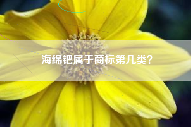 海绵钯属于商标第几类？
