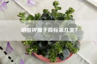 硝酸钾属于商标第几类？