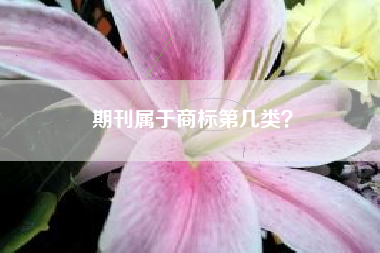 期刊属于商标第几类? 期刊属于商标第几类?