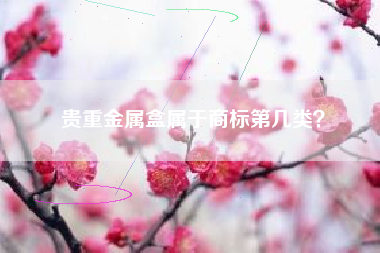 贵重金属盒属于商标第几类？