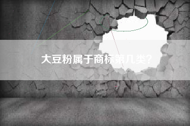 大豆粉属于商标第几类？
