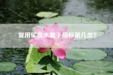 餐用矿泉水属于商标第几类？