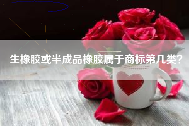 生橡胶或半成品橡胶属于商标第几类？