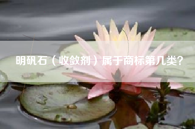 明矾石（收敛剂）属于商标第几类？