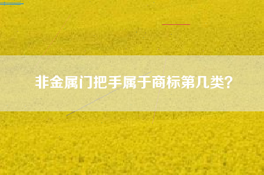 非金属门把手属于商标第几类？